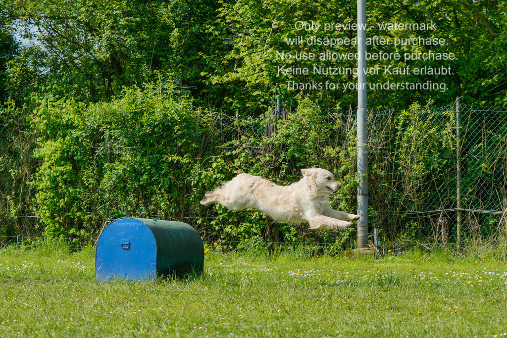 Sa_SprintVK_Gr2_03-23 | stephaniefillaphotographie - Realisiert mit Pictrs.com