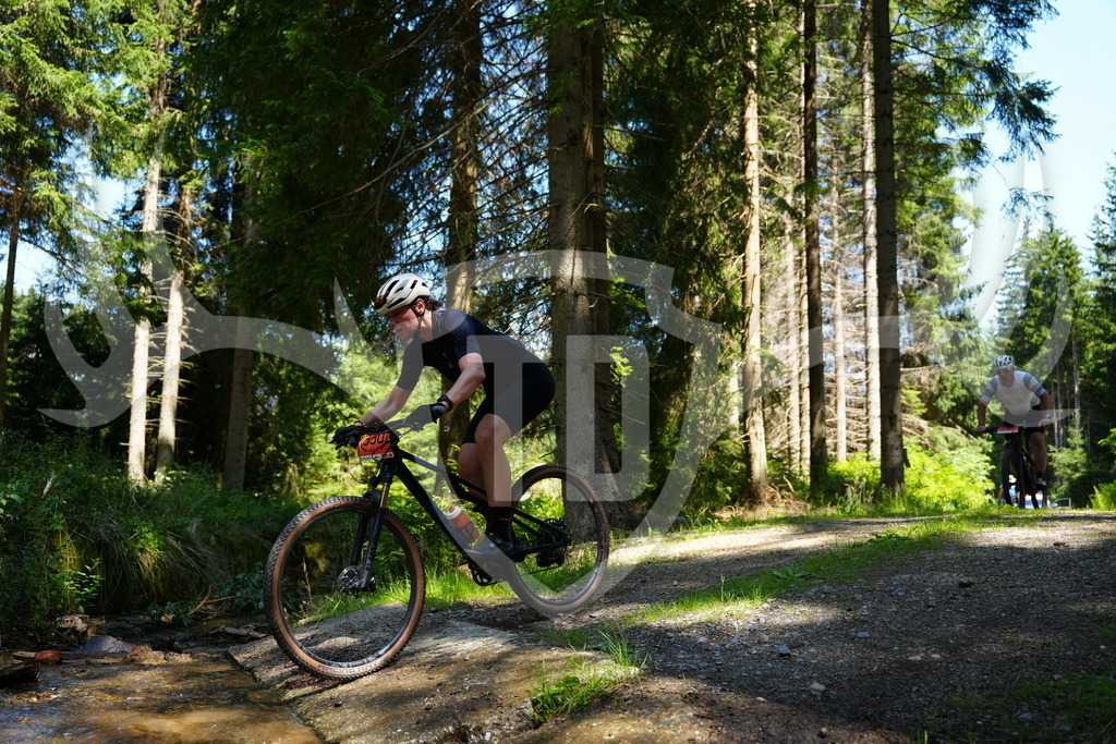 FC101888 | Fotogalerie der Treibjagd im Dunkelwald - Dein MTB Etappenrennen im Erzgebirge - Realisiert mit Pictrs.com