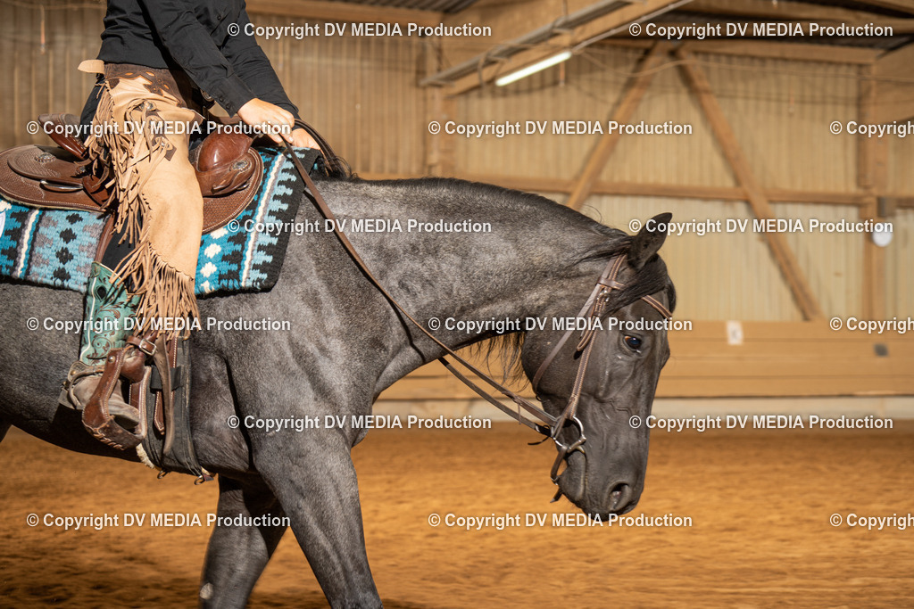 NID01582 | dv-media-shop - Realisiert mit Pictrs.com