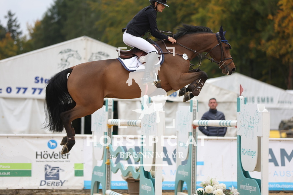 0P6A4433 | Willkommen bei Brunnmayr - Design & Fotografie – Ihrem Spezialisten für Reitturniere und Pferdeveranstaltungen in Oberösterreich, Salzburg und Bayern! Seit über 17 Jahren sind wir leidenschaftlich dabei.