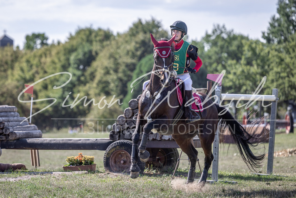 20260906-_3LI5981 | Tierfotografie Pferde, Hunde, Katzen, Haustiere.
Turnierfotografie Reitturniere, Reiten, Springreiten, Dressur in Hanau, dem Main-Kinzig-Kreis und dem Rhein-Main- Gebiet um Frankfurt
