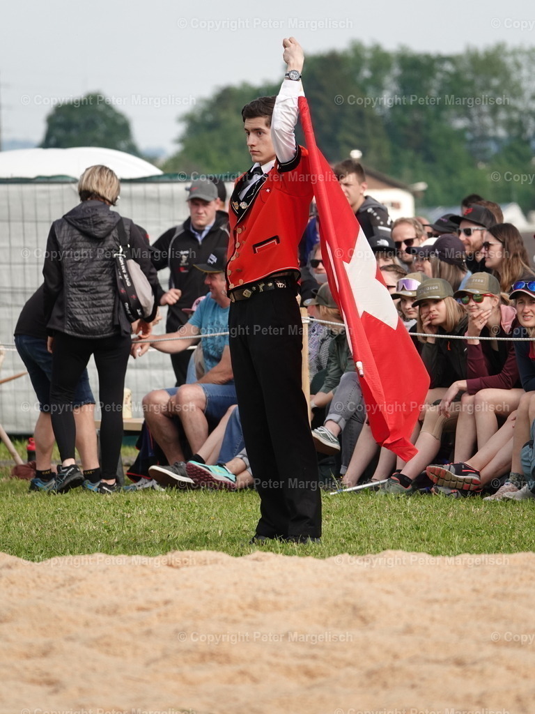 DSC06670 | Schwingen - Realisiert mit Pictrs.com
