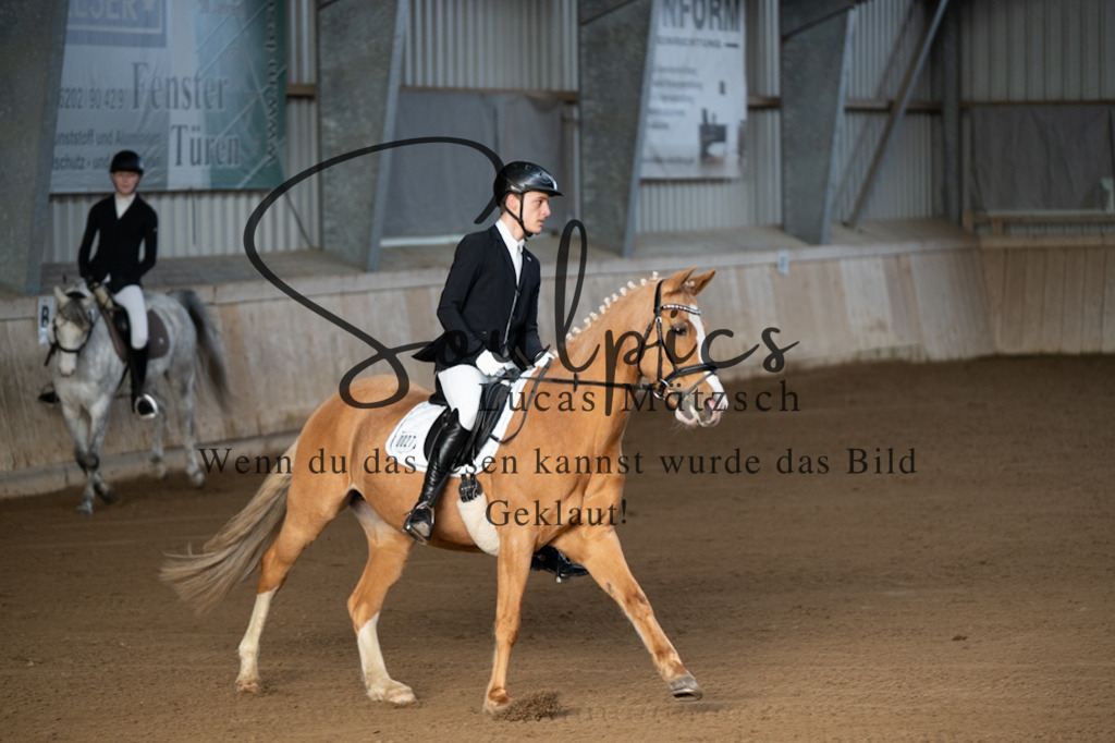 A7V05166 | Pferdefotograf