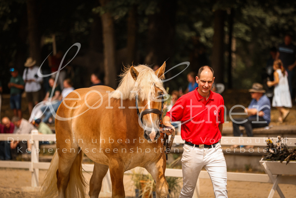 3.Sa00056 | Leoni Ertmer Photography - Realisiert mit Pictrs.com