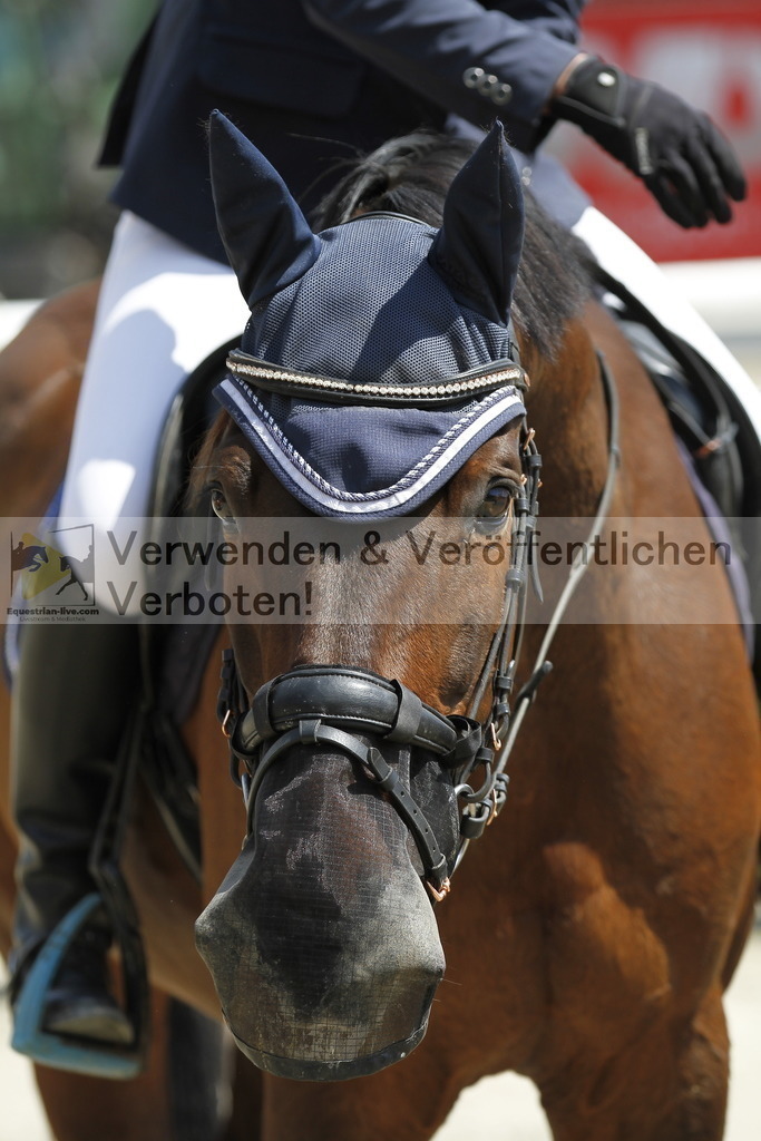 _MG_7453 | equestrian-live-com