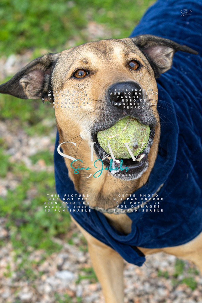 IMG_4823 | s-jay-photography - Realisiert mit Pictrs.com