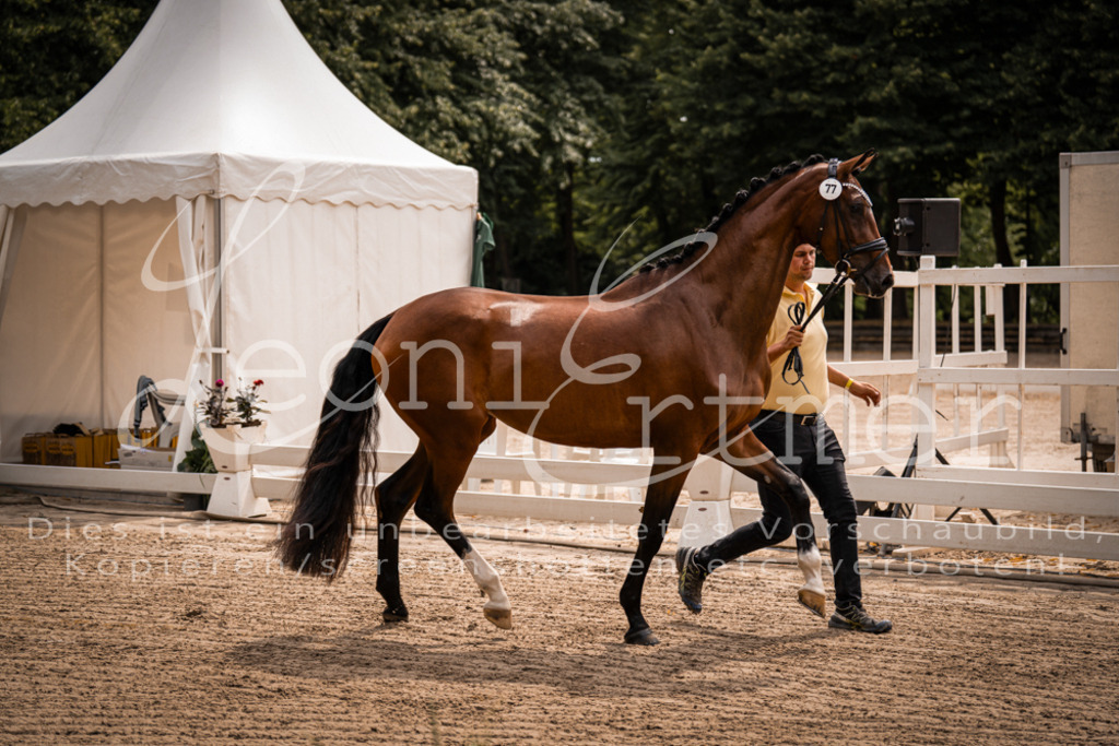 4.Fr00012 | Leoni Ertmer Photography - Realisiert mit Pictrs.com