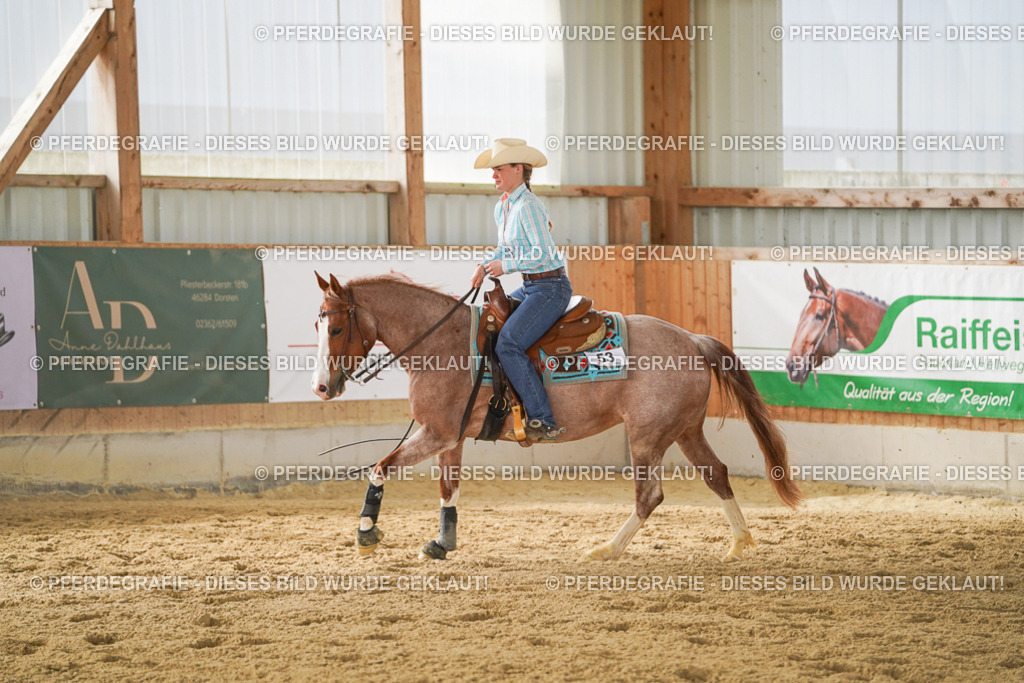 DSC05731 | Pferdegrafie