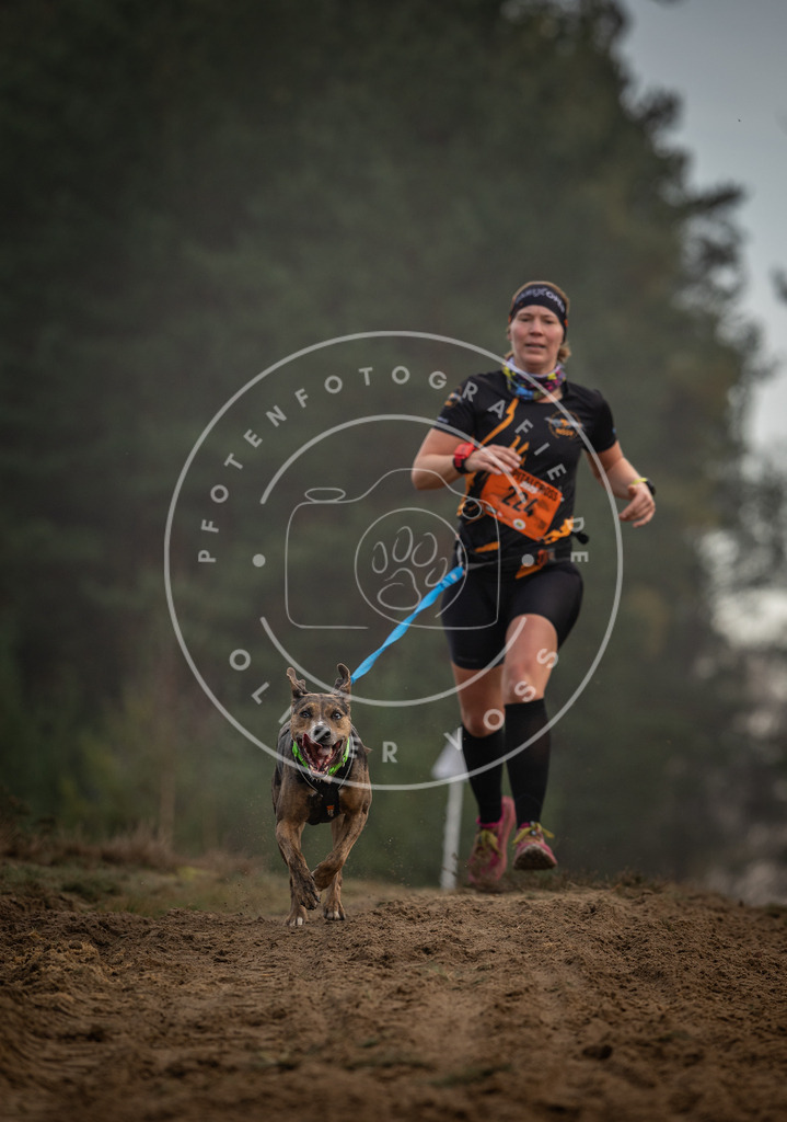 Pfotenfotografie_DV3A5391 | Hundefotografie, Tierfotograf, Pfotenfotografie, Fotoshooting Hund, Hunde Portrait, Hundesport, Hundeportraits, Heideshooting, Hunde, Sportfotograf, Hundefotograf, Turnierhundsport, THS,  - Realisiert mit Pictrs.com
