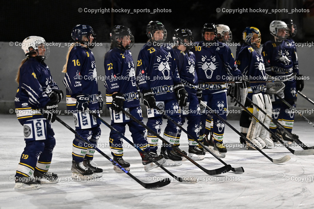 Wildcats Paternion vs. Unicorns Steindorf | Mannschaft Wildcats Paternion, #16 Anton Sandra WILDCATS PATERNION, #22 Oberrauner Franziska WILDCATS PATERNION, #23 Stuppnig Iris WILDCATS PATERNION, #17 Kleindienst-Anton Anita WILDCATS PATERNION, #19 Knes Julia WILDCATS PATERNION, Wildcats Paternion vs. Unicorns Steindorf, Wildcats Paternion vs. Unicorns Steindorf am 02.01.2026 in Paternion (Eislaufplatz Paternion), Austria, (Photo by Bernd Stefan)