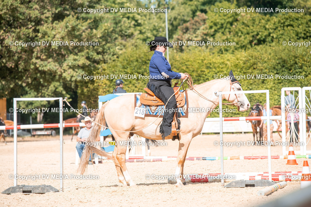 EWP_6891 | dv-media-shop - Realisiert mit Pictrs.com