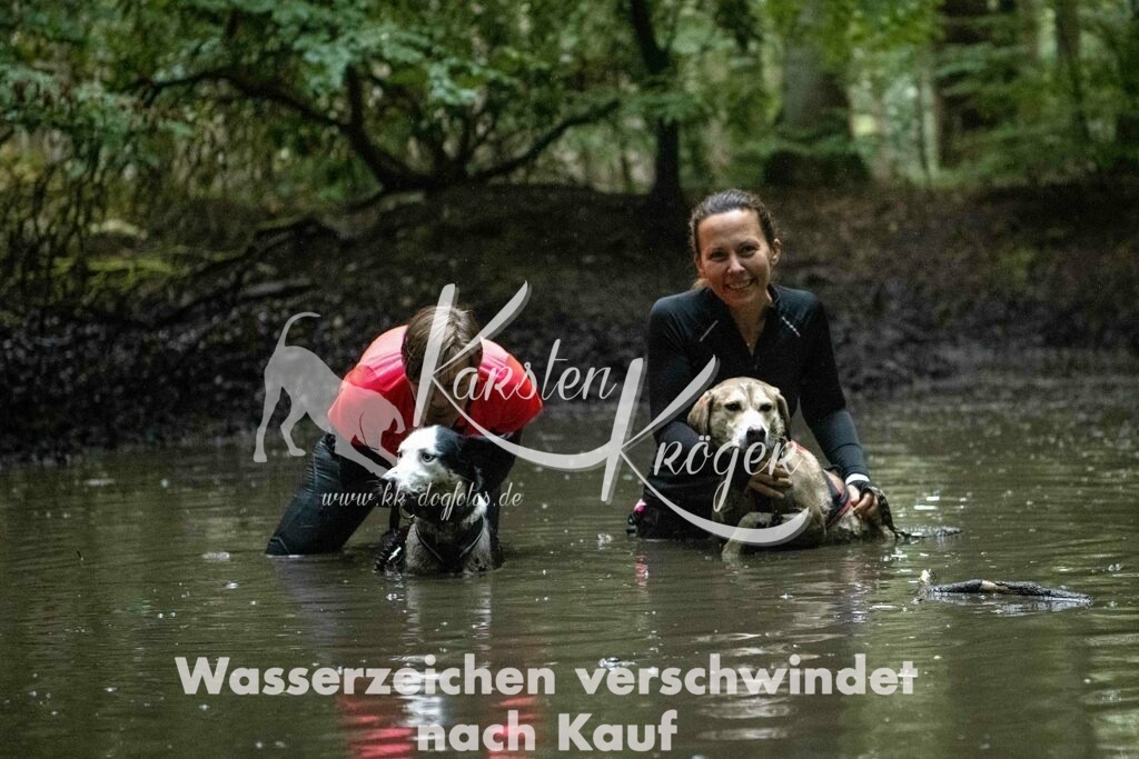 1232_ZZ91026-Bearbeitet | kk-dogfotos