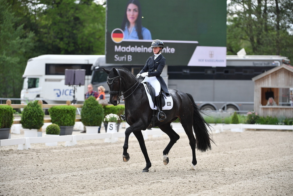 Plinke_17_051 | Der professionelle Turnierfotograf ✓ Reitsport Bilder ▷ Shop ✚ günstig & schnell ✚ mit Zugang für Redakteure