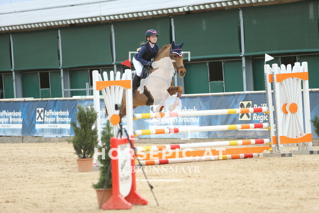 DL2Q6751 | Willkommen bei Brunnmayr - Design & Fotografie – Ihrem Spezialisten für Reitturniere und Pferdeveranstaltungen in Oberösterreich, Salzburg und Bayern! Seit über 17 Jahren sind wir leidenschaftlich dabei.