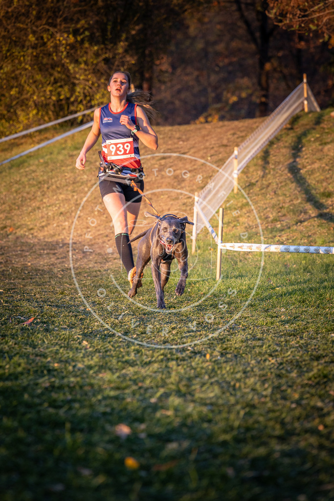 CaniXpix_0L8A1866 | Hundefotografie, Tierfotograf, Pfotenfotografie, Fotoshooting Hund, Hunde Portrait, Hundesport, Hundeportraits, Heideshooting, Hunde, Sportfotograf, Hundefotograf, Turnierhundsport, THS,  - Realisiert mit Pictrs.com