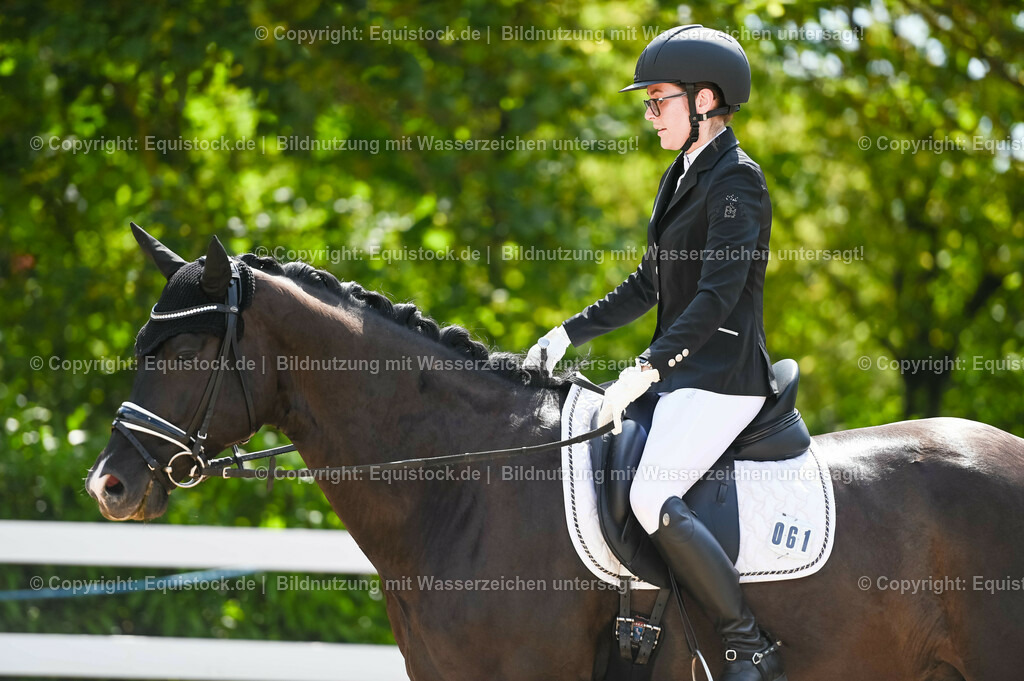 20230715_07_Dressurpferdeprfg. Kl.L_0187 | equistock