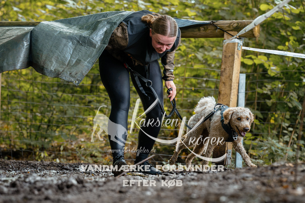 1419DZ6_1613Z6 | kk-dogfotos