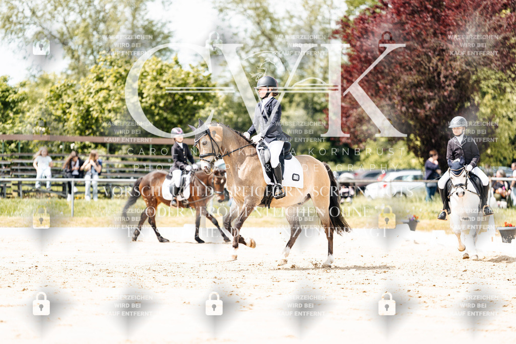 CK901862 | Turnierfotografie Pferdefotografie Trier Rheinland-Pfalz Pferdesport Reitsport Tierfotografie Sportfotografie Pferdevideo Pferdevideografie Equestrianvideography equestrianphotography  - Realisiert mit Pictrs.com