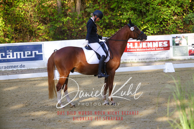 DKP41105 | Turniersportfotografie; Pferdefotografie; Dressurfotografie