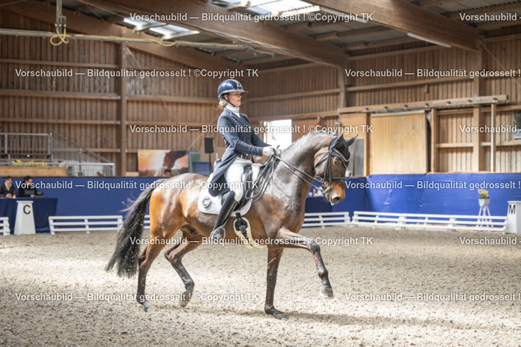 _D5A9305 | Emotionale Pferde- & People-Fotografie rund um Heidelberg, Leimen & Umgebung. Natürliche Fotos von Pferd, Mensch & Familie. Jetzt Termin sichern!