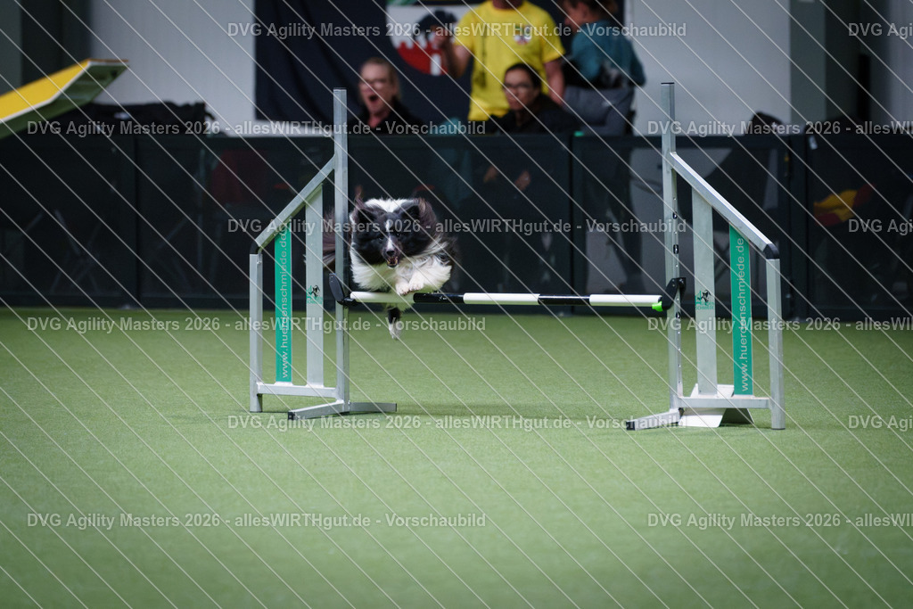 allesWIRTHgut_Tierfotografie-DVG_Agility_Masters_2026-14_30-7R504791 | Professionelle Tierfotografie in Mönchengladbach von Daniel Wirth (allesWIRTHgut). Liebevolle & natürliche Bilder von Hunden & Katzen für unvergessliche Erinnerungen.