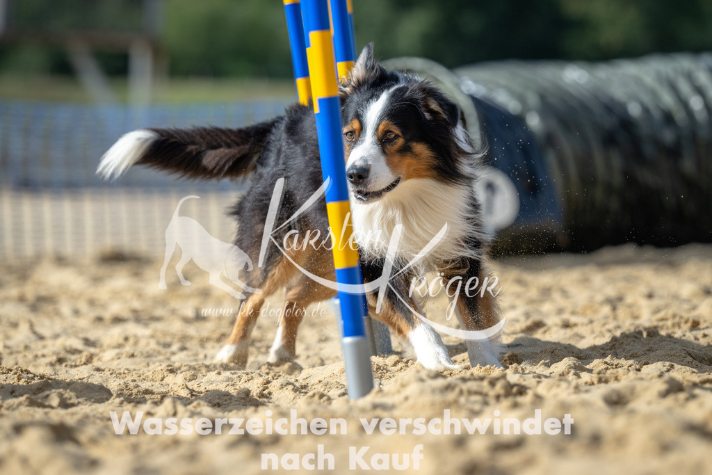 1432_ZZ91507 | kk-dogfotos