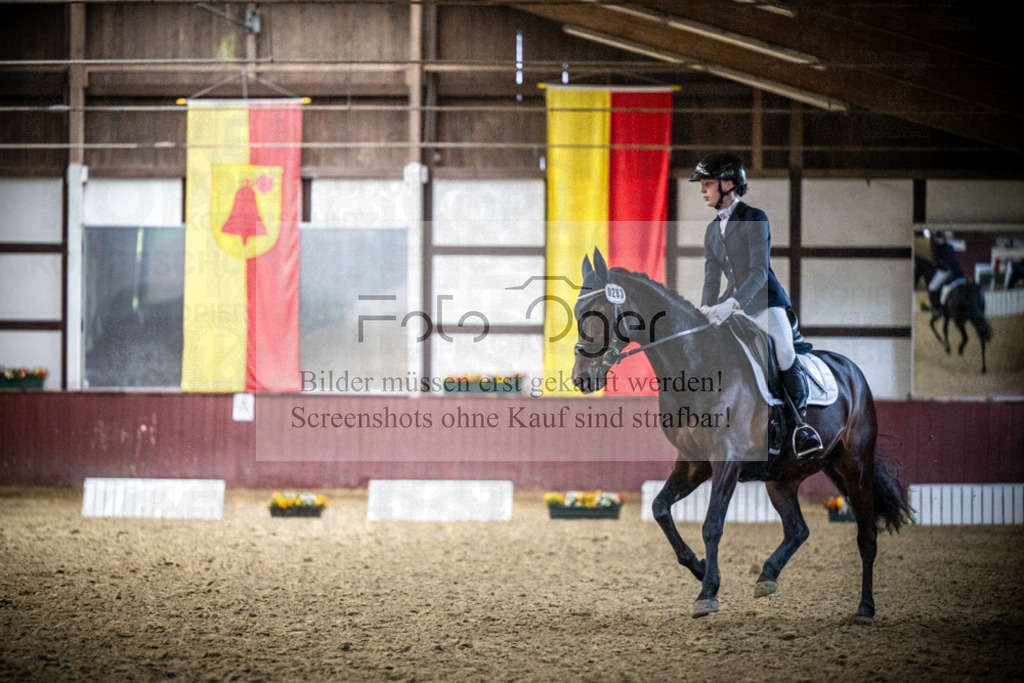 DOS_1808 | Reitturnier Lüdinghausen - Realisiert mit Pictrs.com