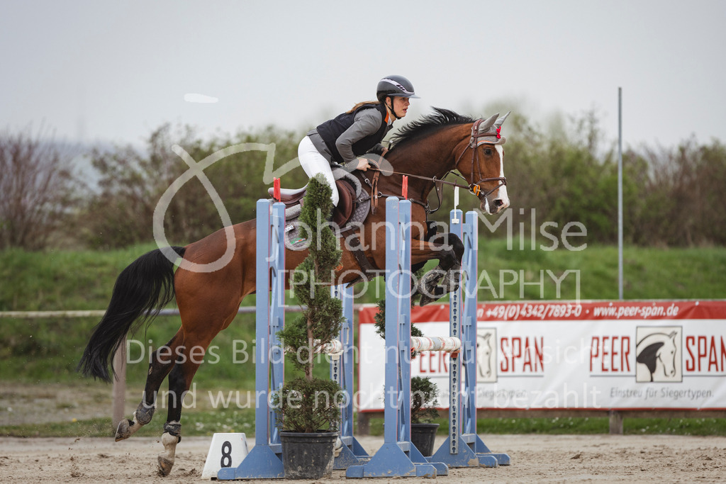 240330_Fruehlingsfest_Stil-A2-2-749 | Deine schönsten Turniermomente als professionelle Fotos! Entdecke hochwertige Pferdesport-Fotografie im Online-Shop. Jetzt Fotos finden & bestellen!