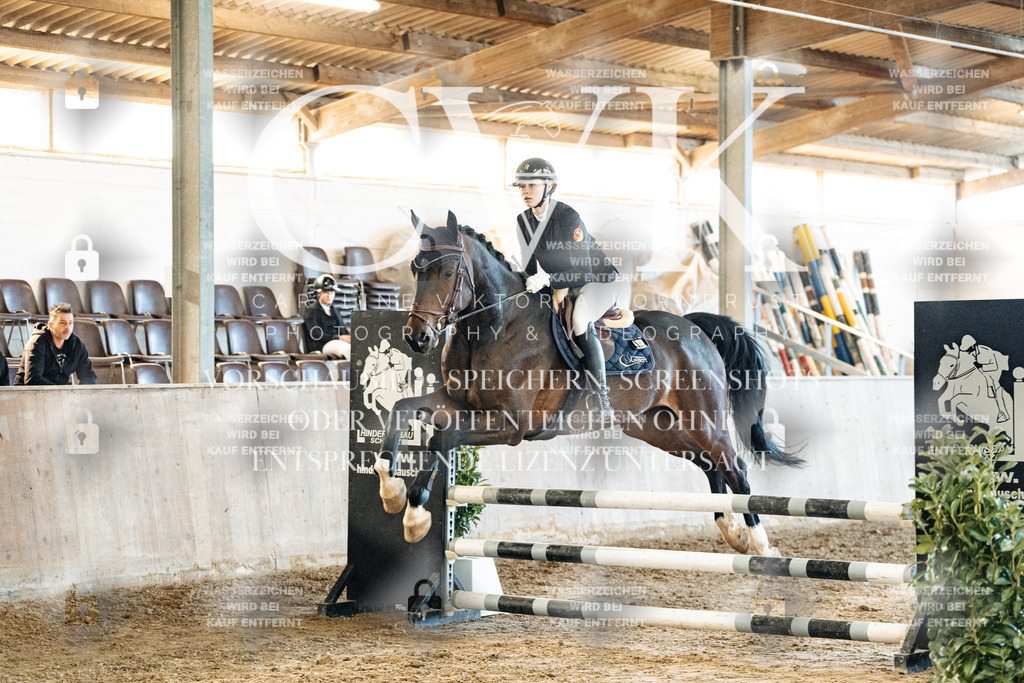 CK904560 | Turnierfotografie Pferdefotografie Trier Rheinland-Pfalz Pferdesport Reitsport Tierfotografie Sportfotografie Pferdevideo Pferdevideografie Equestrianvideography equestrianphotography  - Realized with Pictrs.com