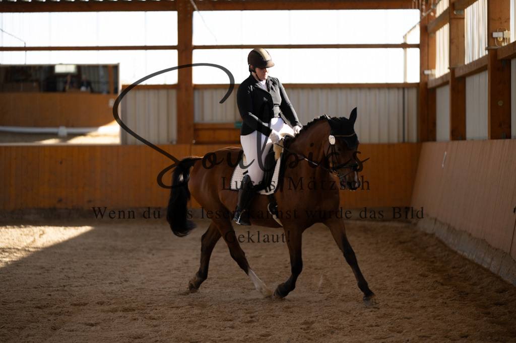 A7V01797 | Turnier/Reitfotograf
