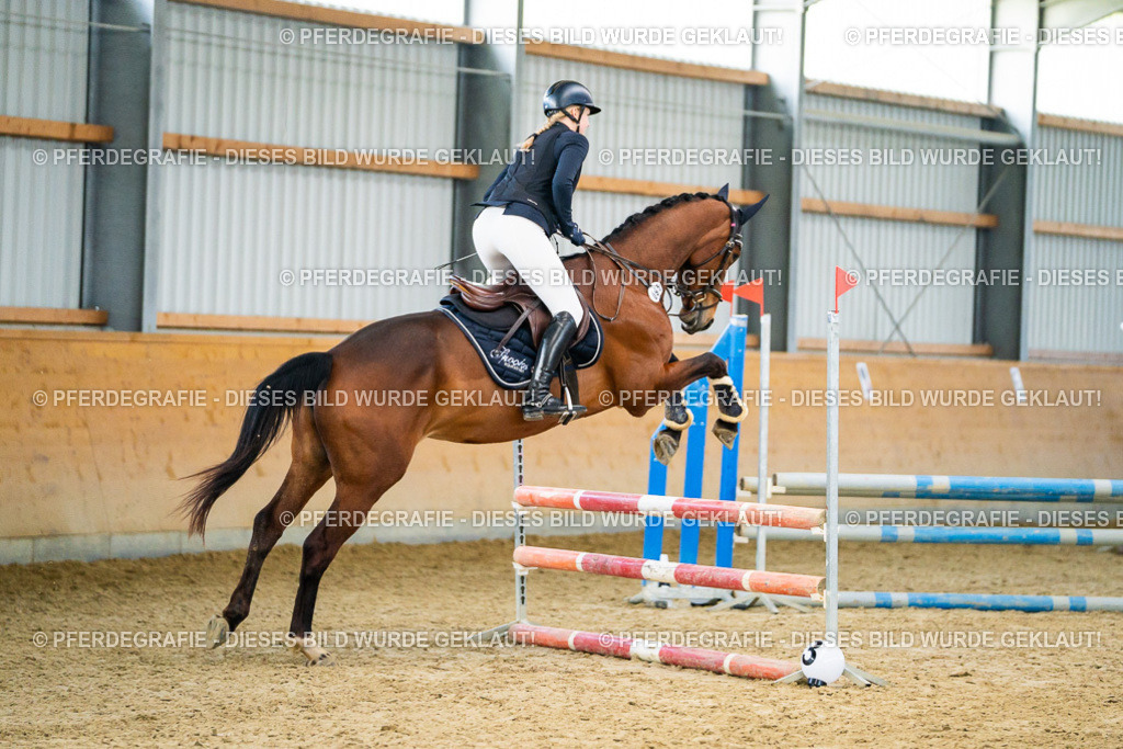 DSC00534 | Pferdegrafie