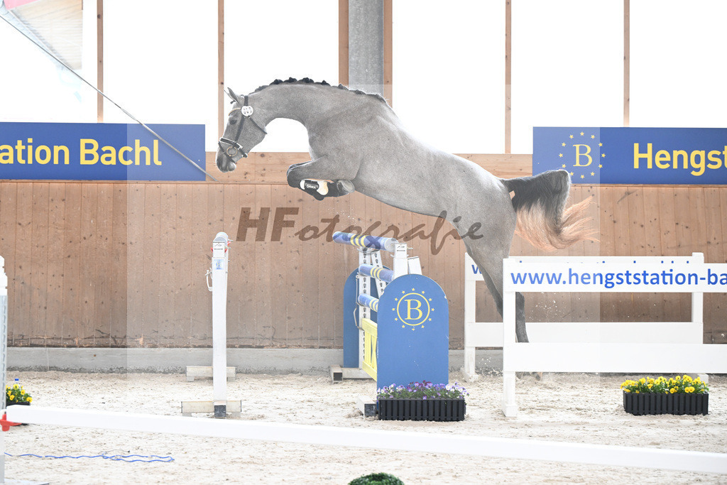 Kat-Nr. 9 nn v. Vingino_Schindele_5250237 | hf-fotografie - Realisiert mit Pictrs.com