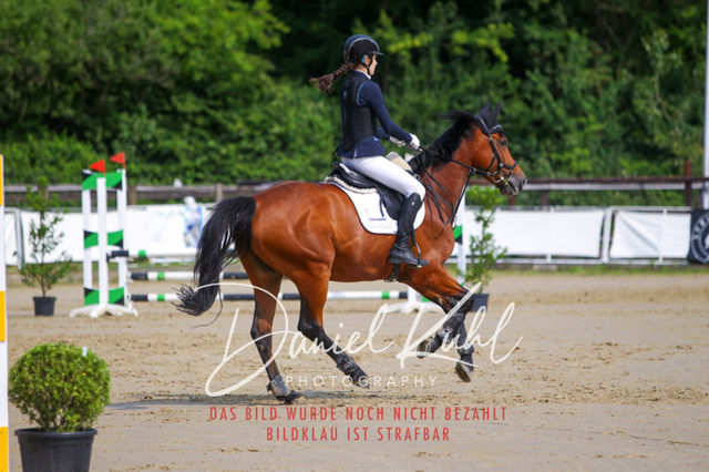 DKP41290 | Turniersportfotografie; Pferdefotografie; Dressurfotografie