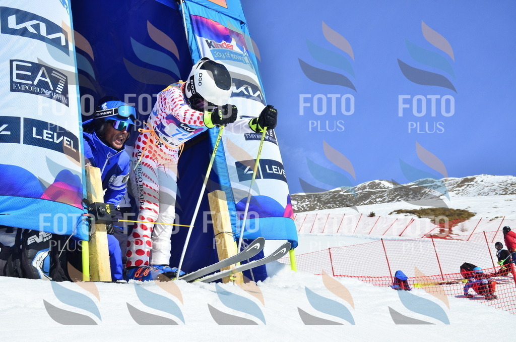 _ELE0342 | holidayphoto