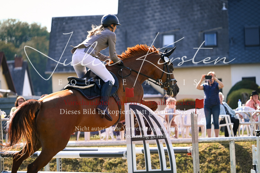 DSC_1313 | Pferde- und Turnierfotografie in Westsachsen. Pferdeportraits, Auftragszeichnungen und intuitive Kunst.