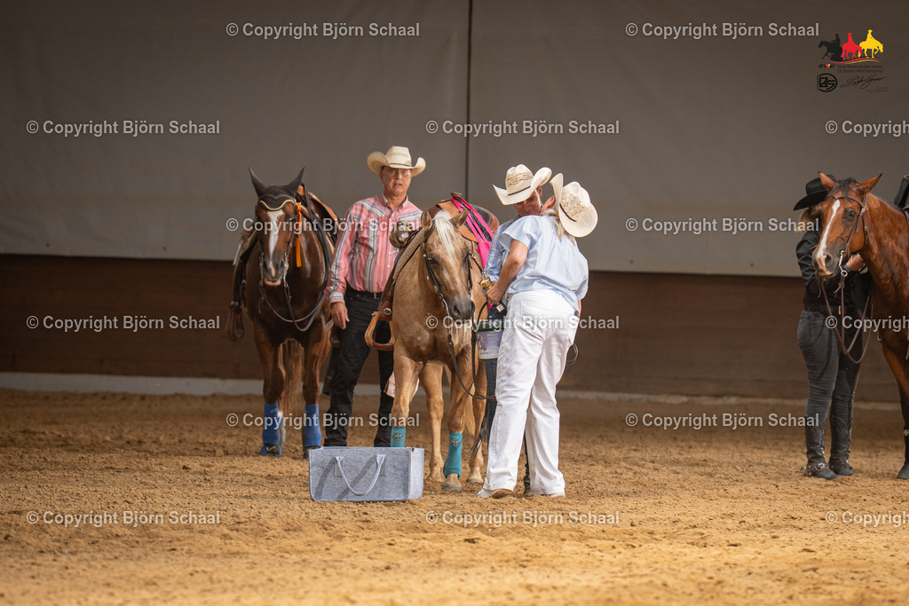 LMS06182 | BS-foto