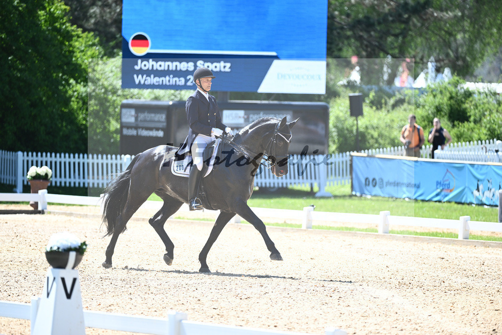 Spatz_Walentina_12246282 | hf-fotografie - Realisiert mit Pictrs.com