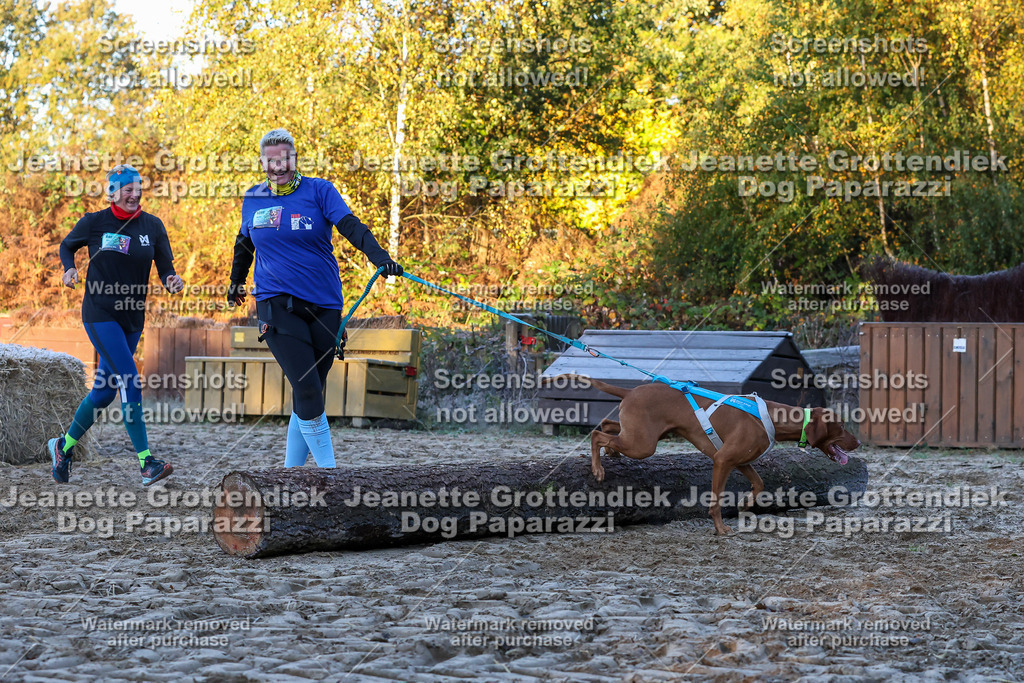 Dog Paparazzi - Strongdog 10-25-468 | Dog Paparazzi Jeanette Grottendiek Fotografie & Videografie - Realisiert mit Pictrs.com