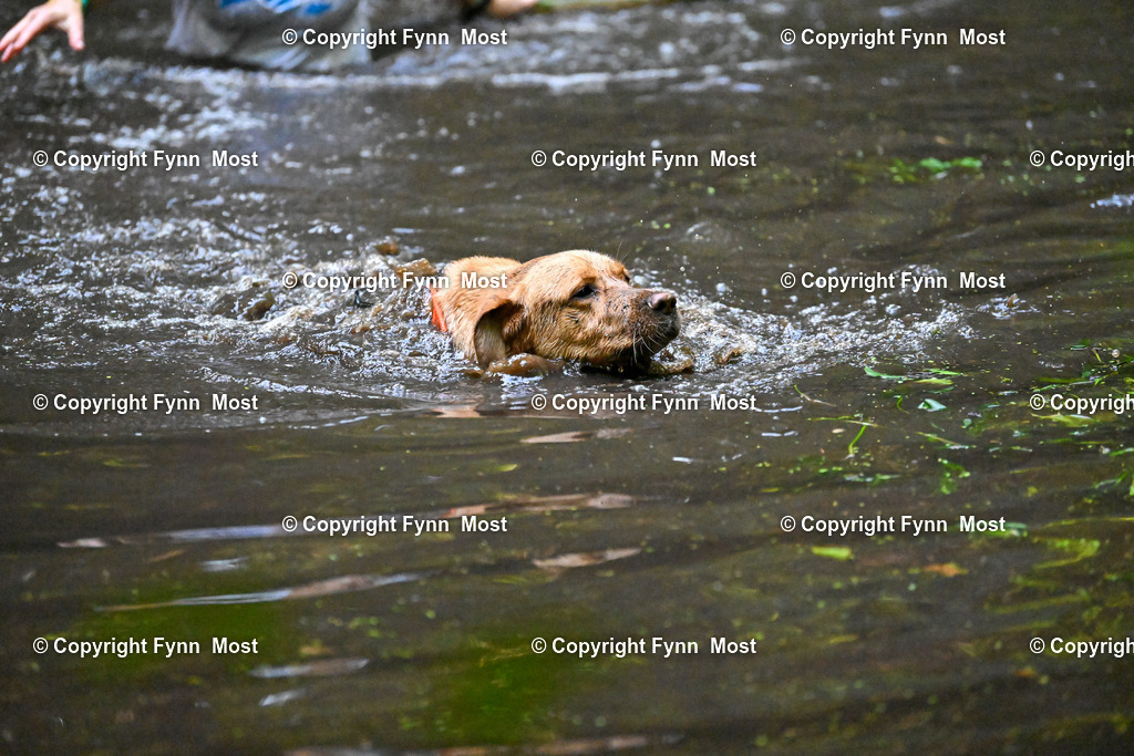 DSC_0257 | Hallo und herzlich Willkommen auf meiner Shop-Seite Fynn Most.

Ich wünsche Dir viel Spaß beim stöbern durch die Bilder, wenn Du Fragen hast oder Bilder vermisst, kannst du mir gerne eine Nachricht schreiben. - Realisiert mit Pictrs.com