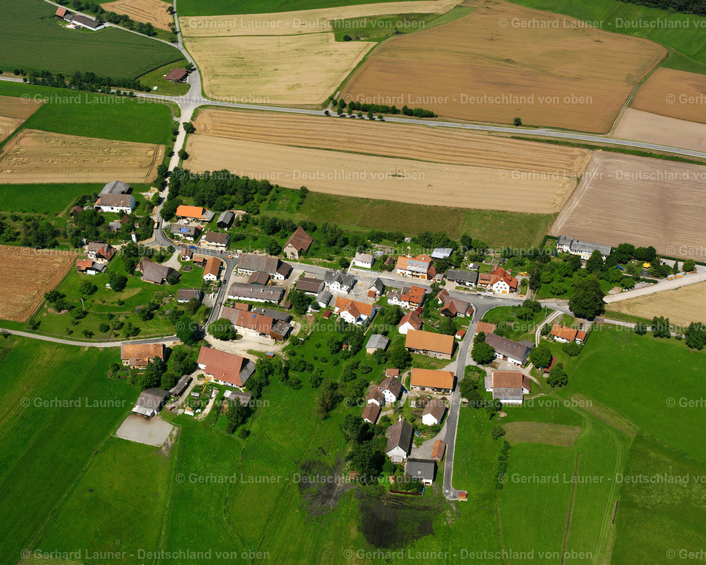 2536031 | Ruhestetten, Wald