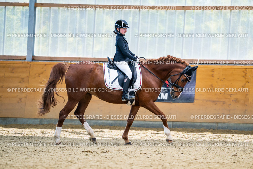 DSC05165 | Pferdegrafie