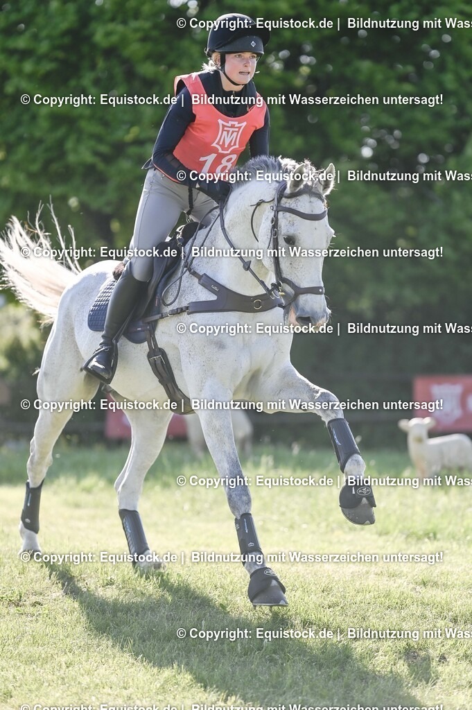 20250517_CCI2_Gelände_0502 | Foto: Thomas Hartig