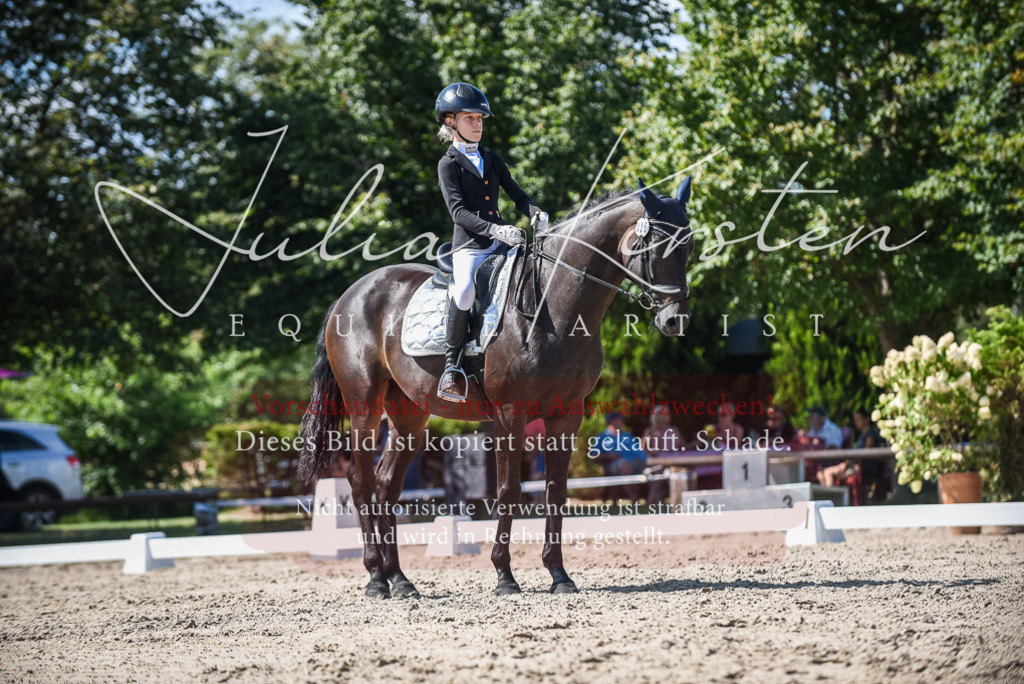 DSC_9541 | Pferde- und Turnierfotografie in Westsachsen. Pferdeportraits, Auftragszeichnungen und intuitive Kunst.