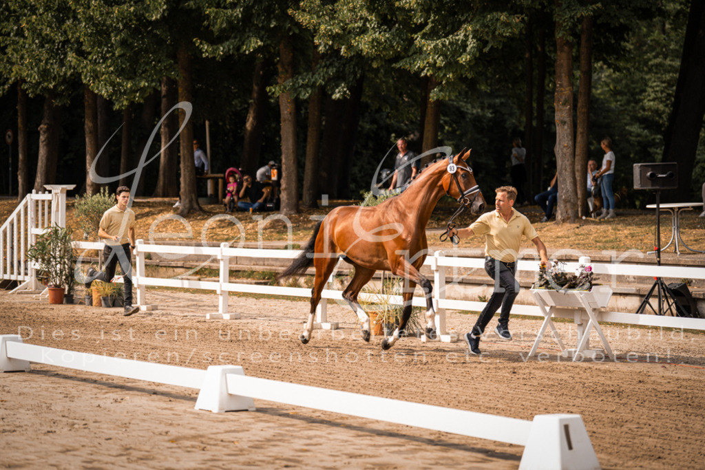 FrER00047 | Leoni Ertmer Photography - Realisiert mit Pictrs.com