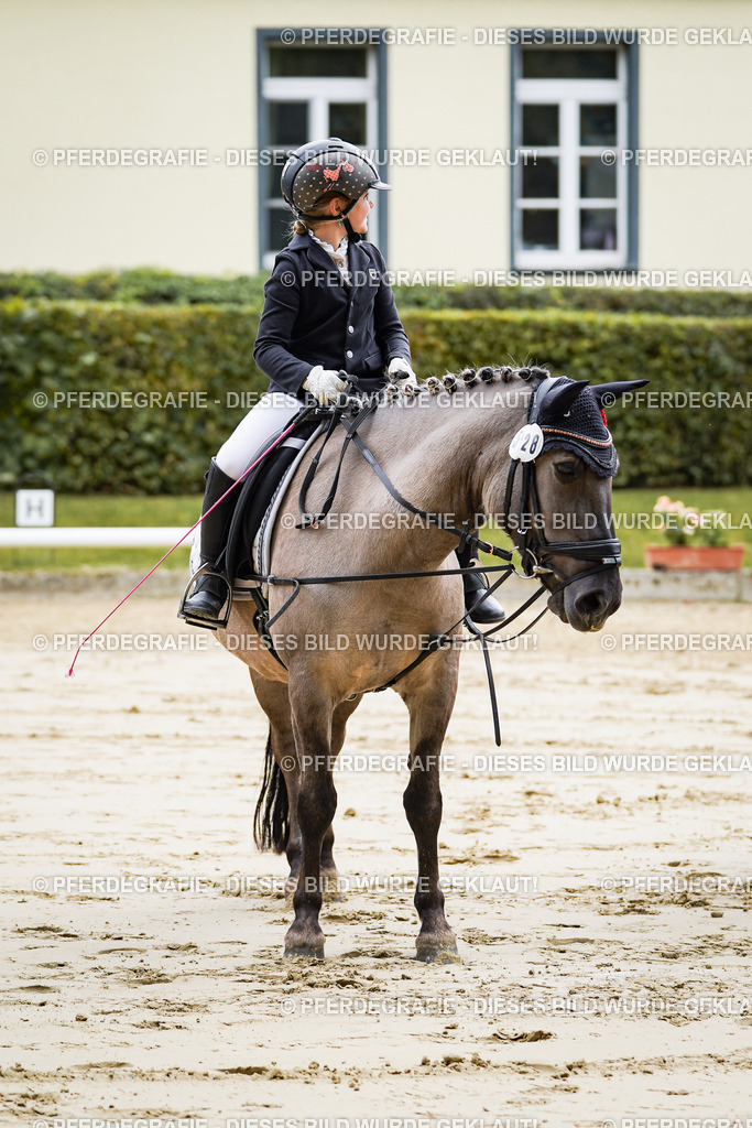 DSC05764 | Pferdegrafie