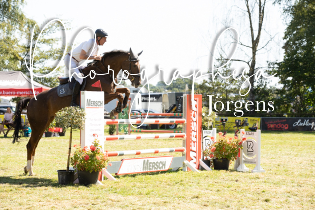 IMG_9093 | photographesa-joergens - Realisiert mit Pictrs.com