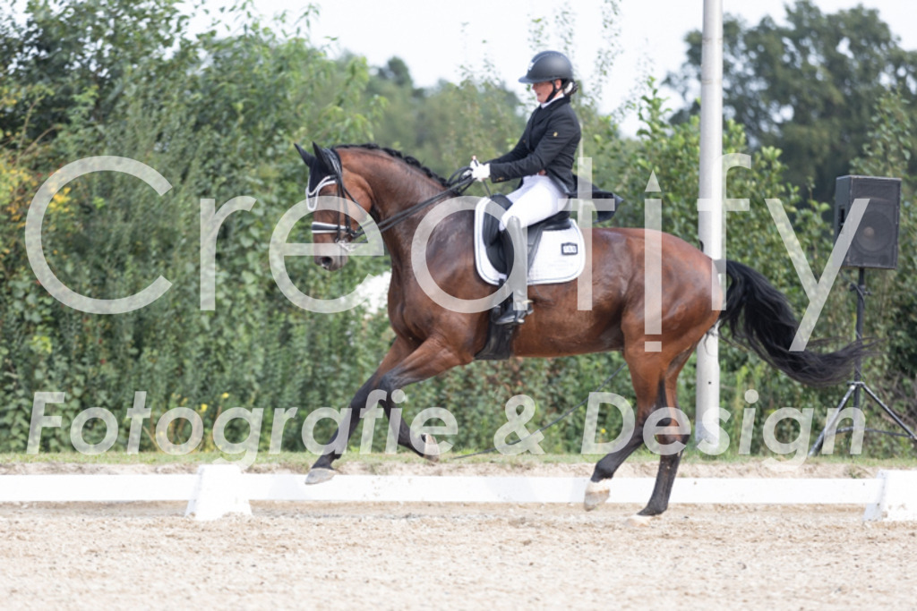 IMG_4601 | Creatify Fotografie