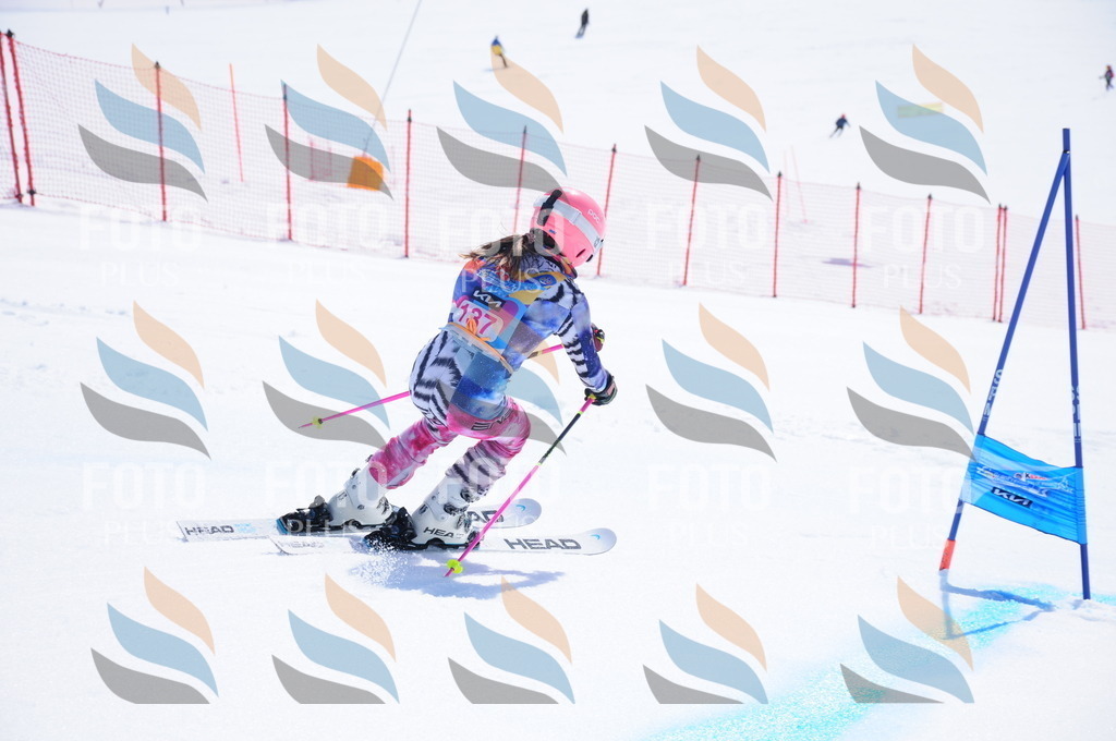 DSC_5142 | holidayphoto