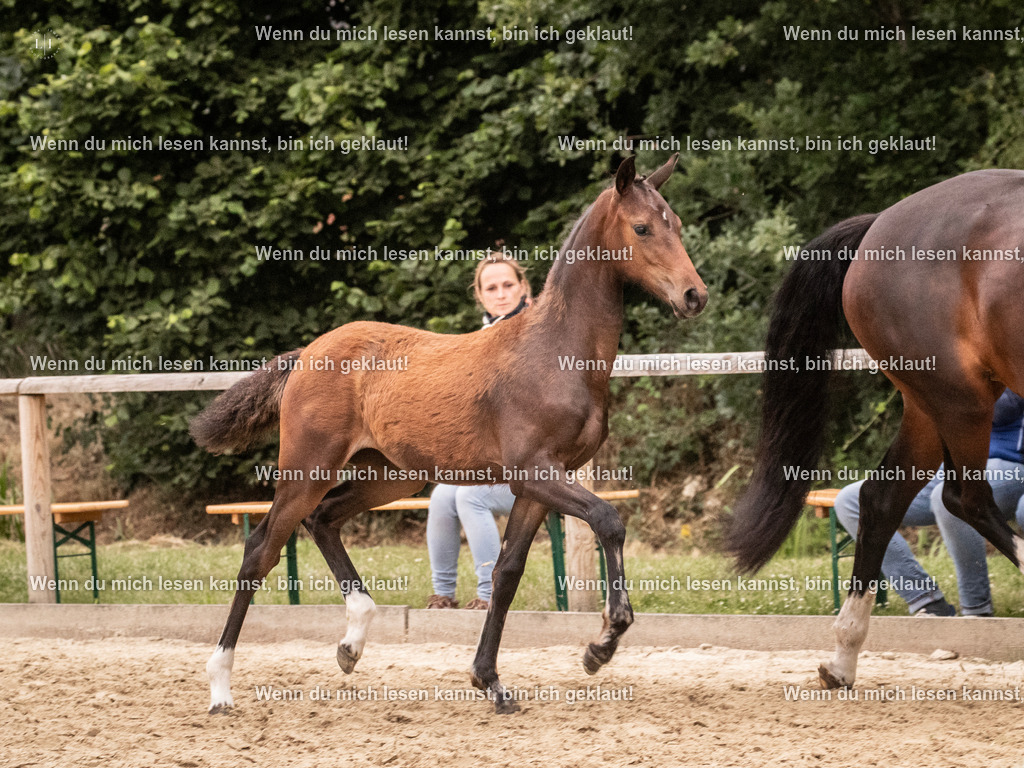 A10I7097 | photographylinaismer - Realisiert mit Pictrs.com