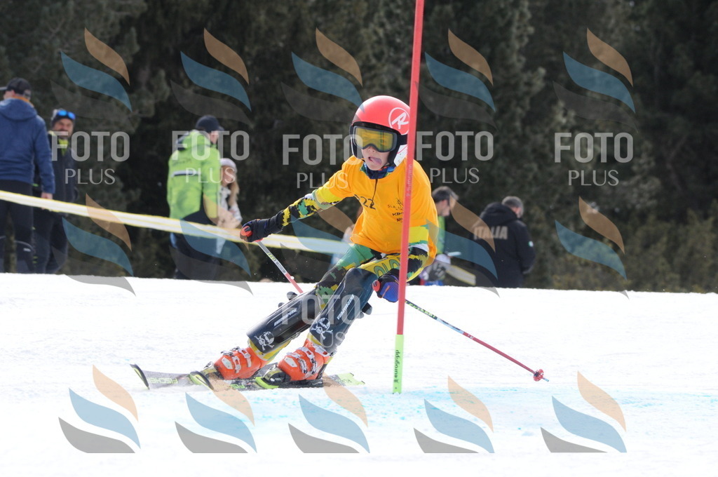 C7625 | holidayphoto